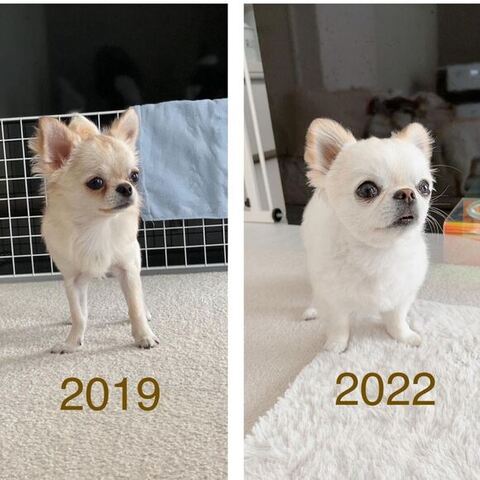 ビフォアフ画像