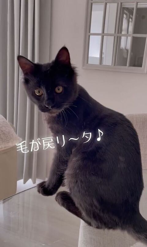 振り返る福丸くん