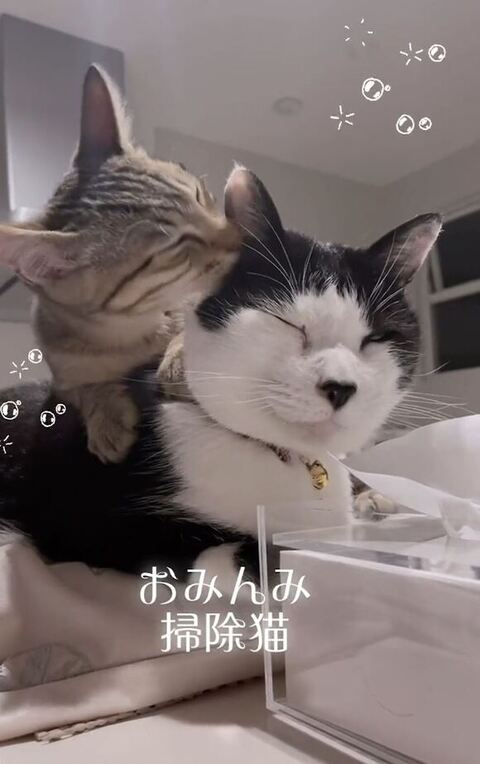 お耳ぺろぺろ