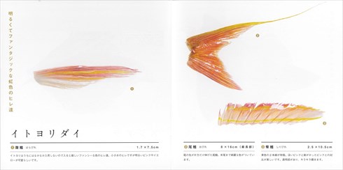 同人誌「ウオヒレウロ子の素敵なウオヒレの世界」