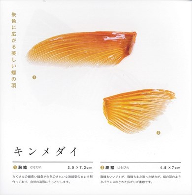 同人誌「ウオヒレウロ子の素敵なウオヒレの世界」