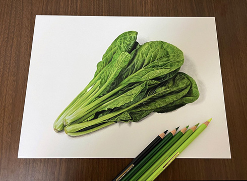 色鉛筆で描いた小松菜　手で掴んで持ち上げられそうなほどリアルですごい
