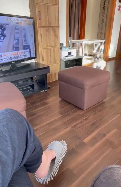 寝る飼い主と猫