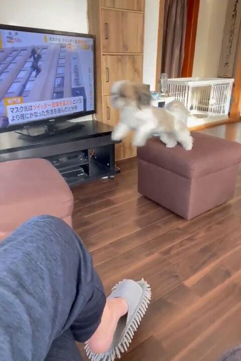 イスをジャンプ