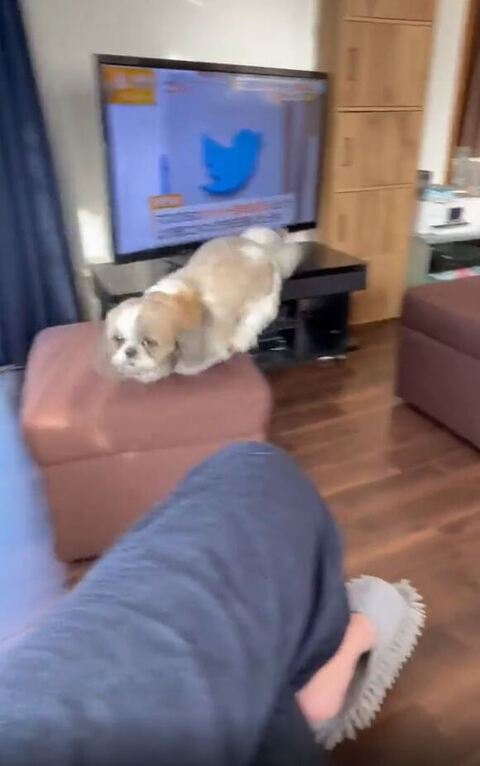 こちらを見てるななちゃん