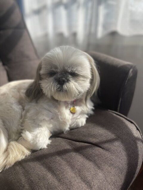 ももちゃん優しい顔