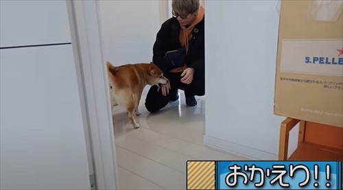 フミさんをお出迎え