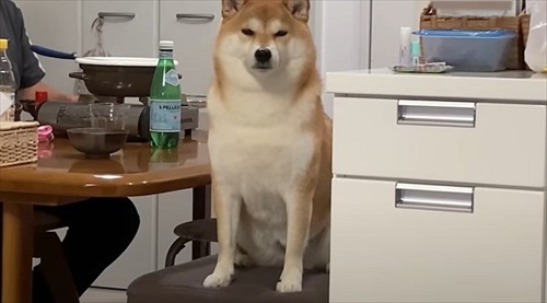 みんなでごはん