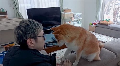 さみしそうなQちゃん