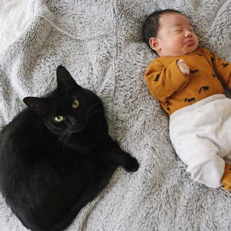 赤ちゃんを見守る猫