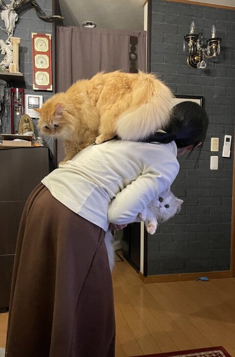 微笑んで横たわってる