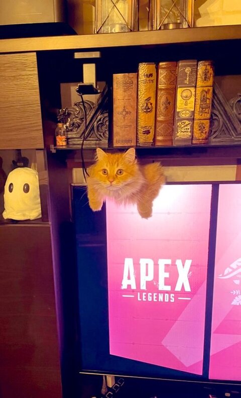 画面の上にいるエマちゃん