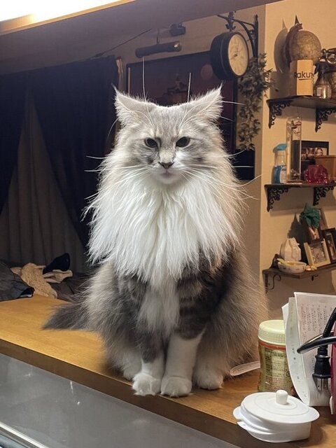 座ってるレイくん