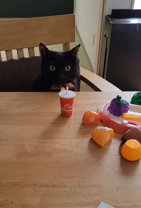 ティチャラくん正面