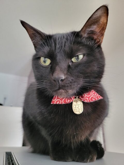 しゃがんで座ってる