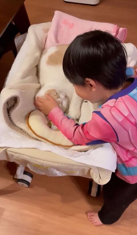 猫をのぞきこむ息子