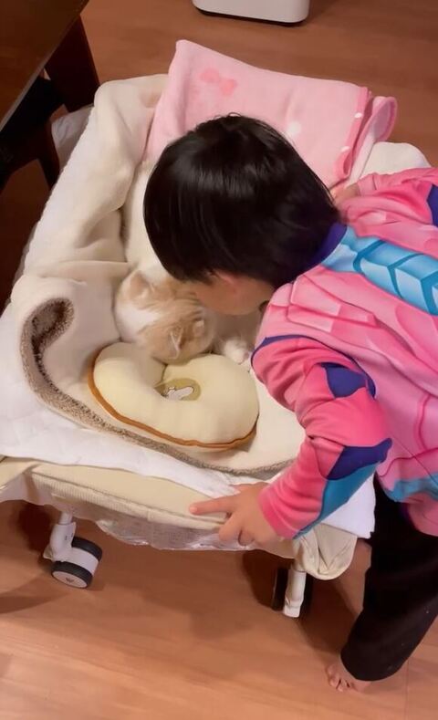 猫にチューする息子