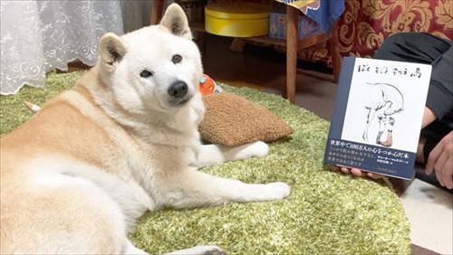 飼い主さんの帰宅を喜ぶワンちゃん