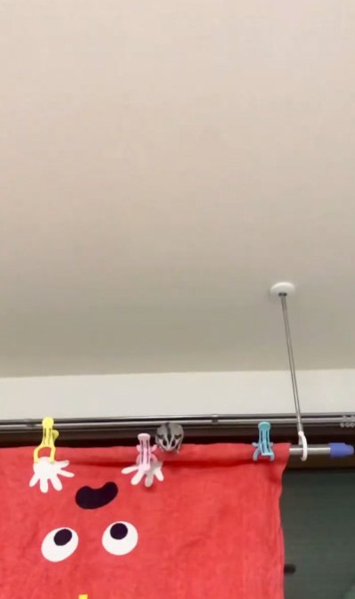 ジャンプ前ももんちゃん