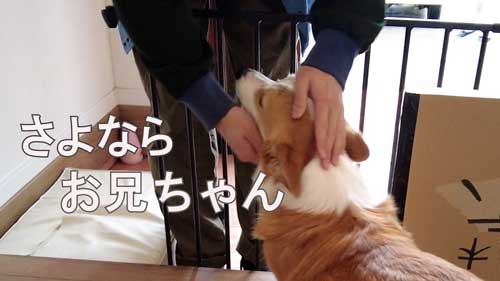 おすすめ