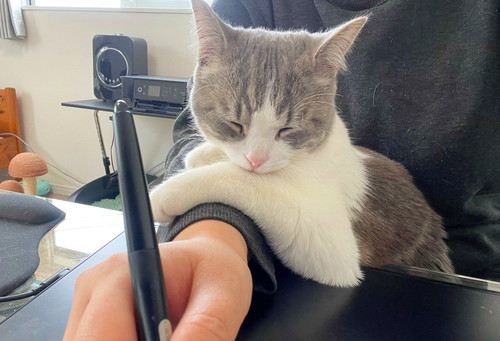 飼い主にくっつくぷくちゃん