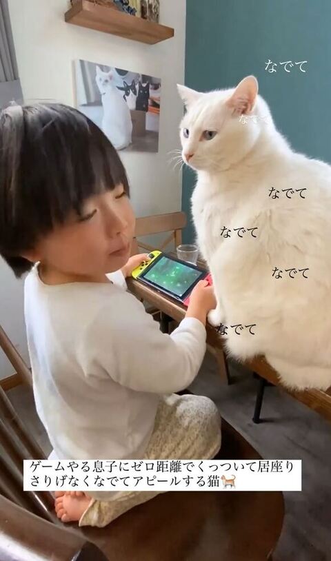息子さんを見つめるブランくん