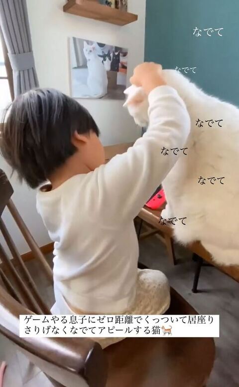 息子さんの右手でなでられてるブランくん