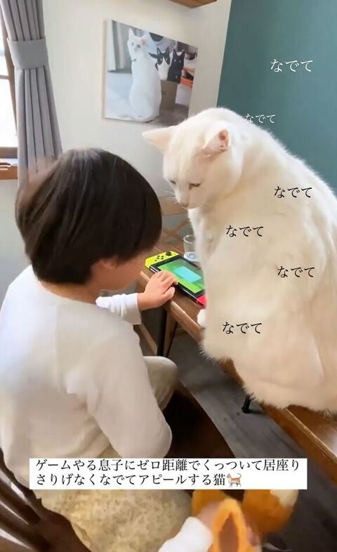 下を見てるブランくん