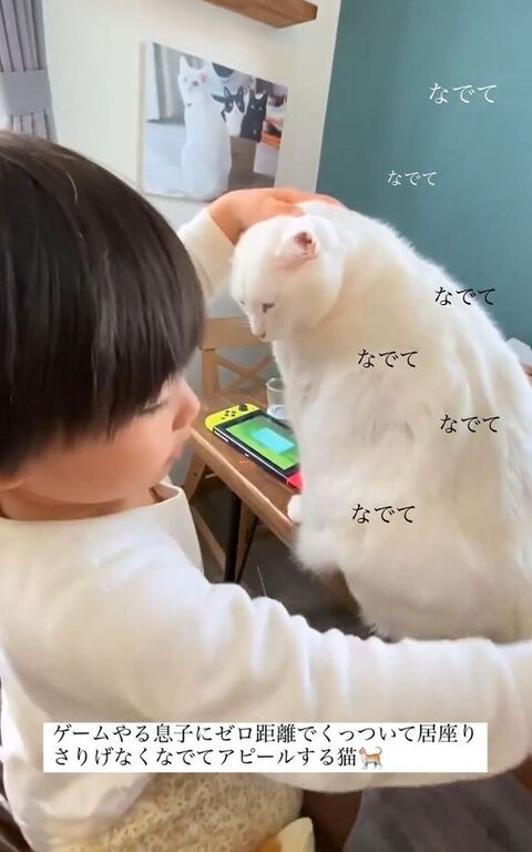 左手でなでる息子さん