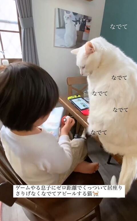 息子さんポケモンボール持ってる