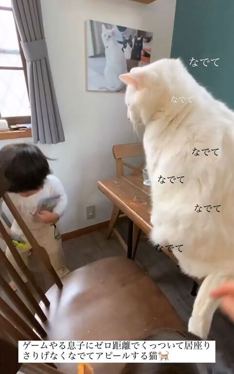 イスから降りる息子さん