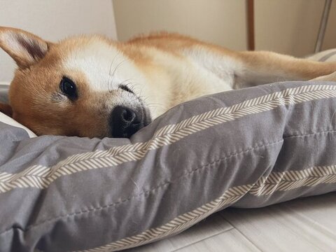 微笑んで横たわってる