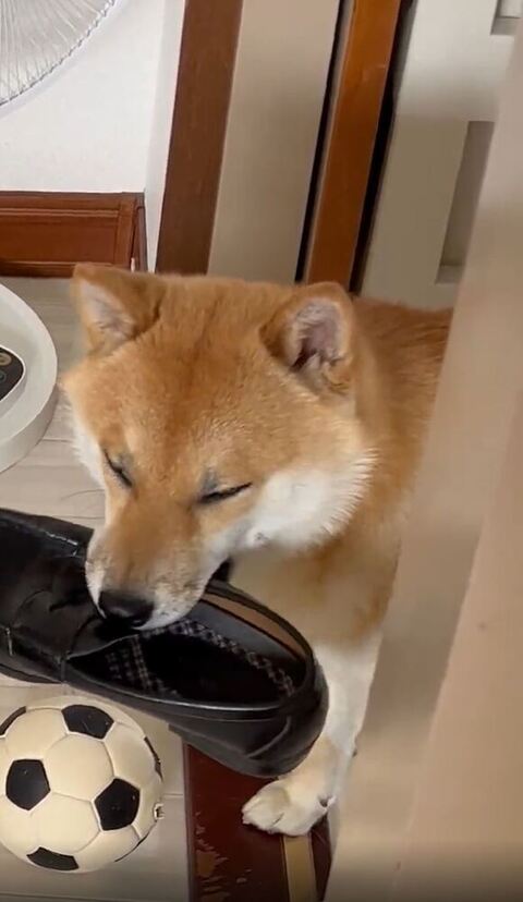 目をつぶってる