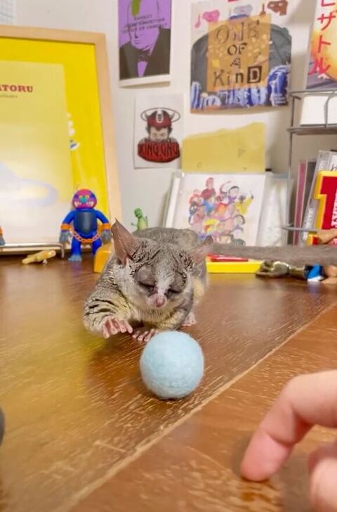 目をつぶって手をあげてる