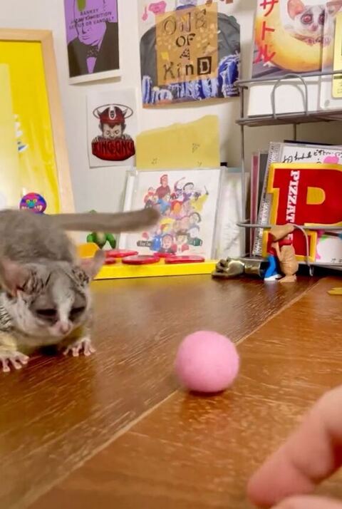 ピンクボールを前に低姿勢