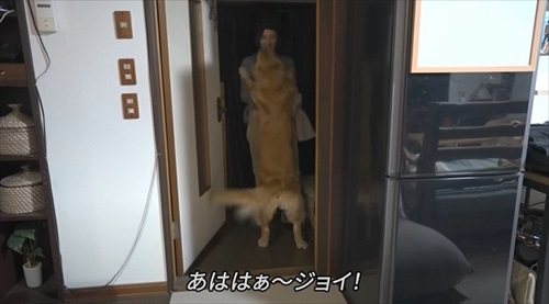 浮気チェックが厳しいワンちゃん