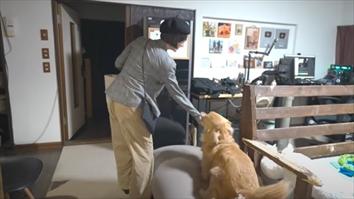 浮気チェックが厳しいワンちゃん