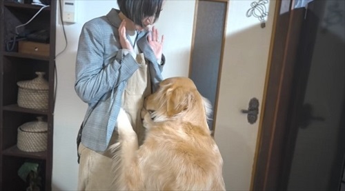 浮気チェックが厳しいワンちゃん