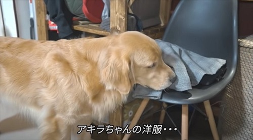 浮気チェックが厳しいワンちゃん