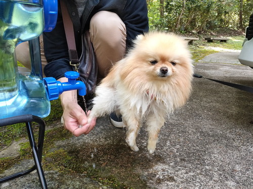 おすすめ