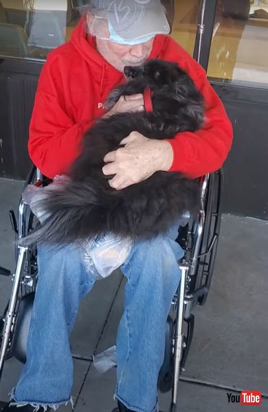 父とワンコの再会