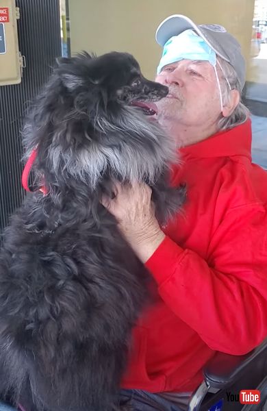 幸せそうな犬と飼い主の再開