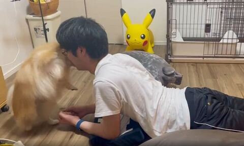 立ち上がってキス