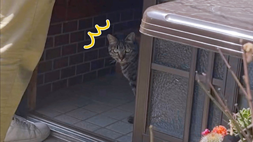 ママと1カ月ぶりの再会