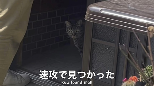 ばれたママさん