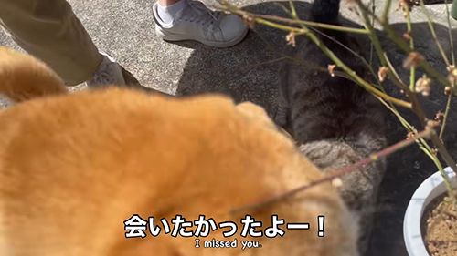 会いたかったよ