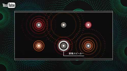 鼓動する 畳 TTM-V20 振動スピーカー ごろ寝 音楽