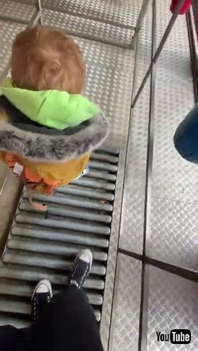 「Toddler Has Trouble in Funhouse || ViralHog」