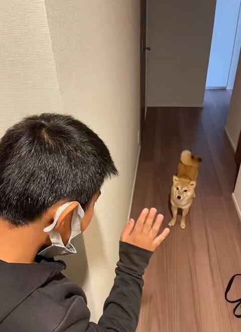 お見送りするマメちゃん