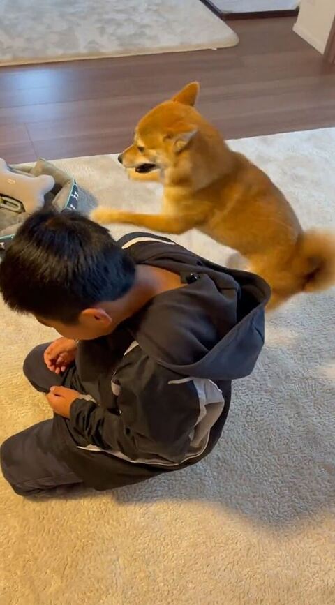 飛びはねるマメちゃん